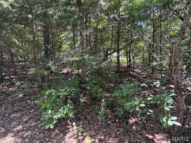 61 Sumter Drive, Raintree Plantation, MO 63050 - #2