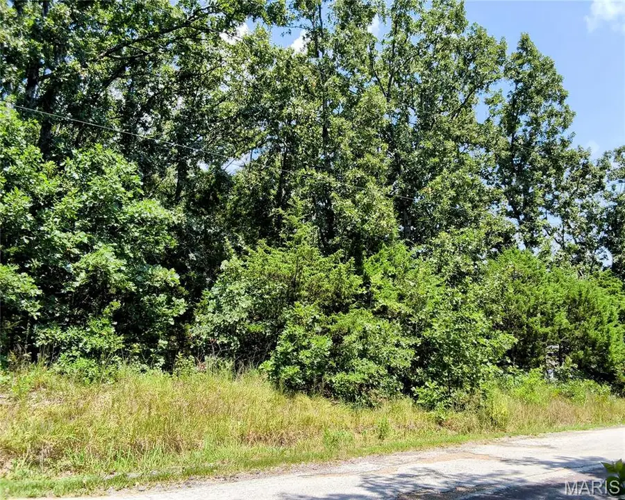 601 Briarwood Drive, Saint Clair, MO 63077 - #3