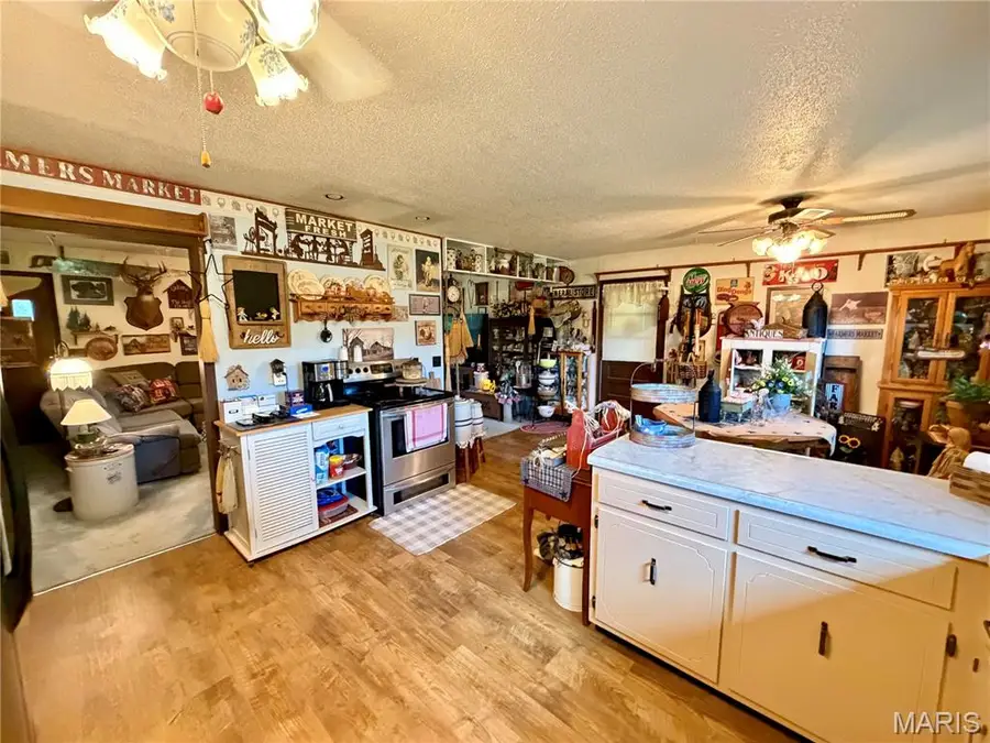 670 County Road 4220, Salem, MO 65560 - #3