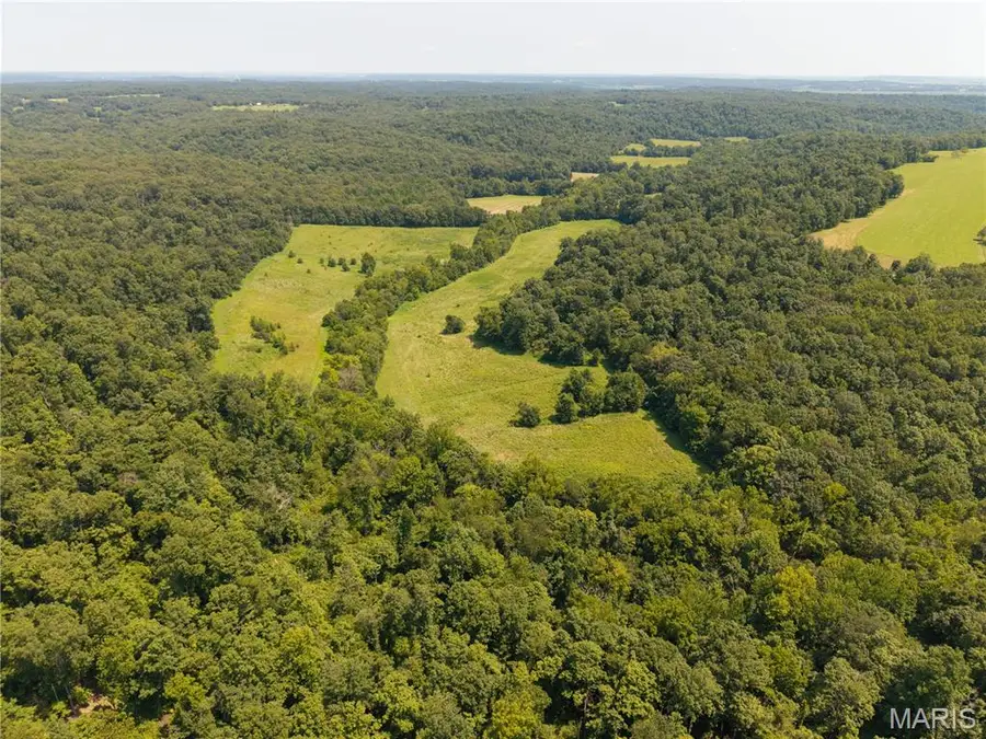 0 Bcr 418, Marble Hill, MO 63764 - #2