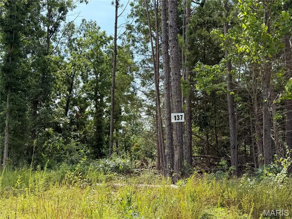 #137 Madison 410, Fredericktown, MO 63645 - #1