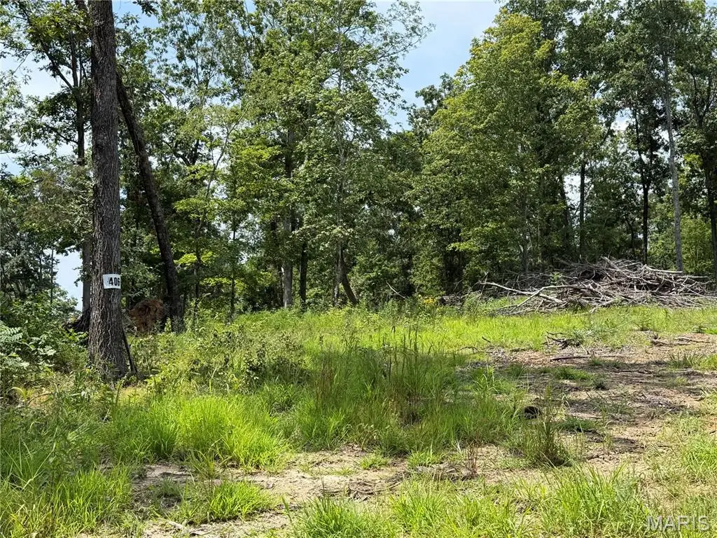 #406 Madison 410, Fredericktown, MO 63645 - #1