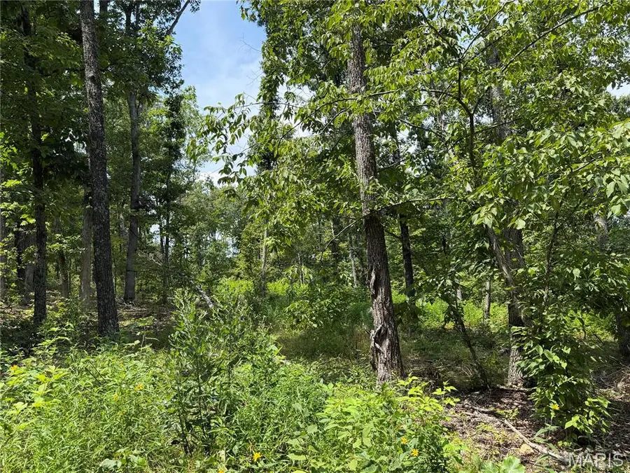#406 Madison 410, Fredericktown, MO 63645 - #3