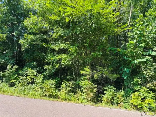 2023 Lakeshore Drive, Cuba, MO 65453 - #2