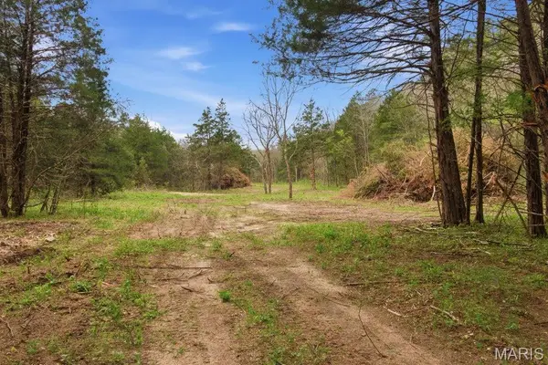 Tract3 W Highway 32, Licking, MO 65542