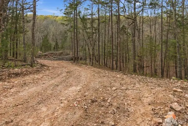 Tract 5 W Highway 32, Licking, MO 65542