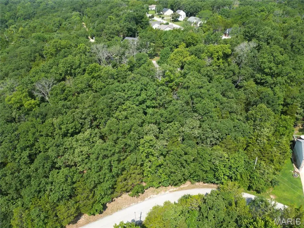 10133 Lake Ridge Drive, Hillsboro, MO 63050 - #1
