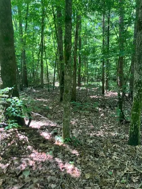 283 Madison Cr 410, Fredericktown, MO 63645 - #2