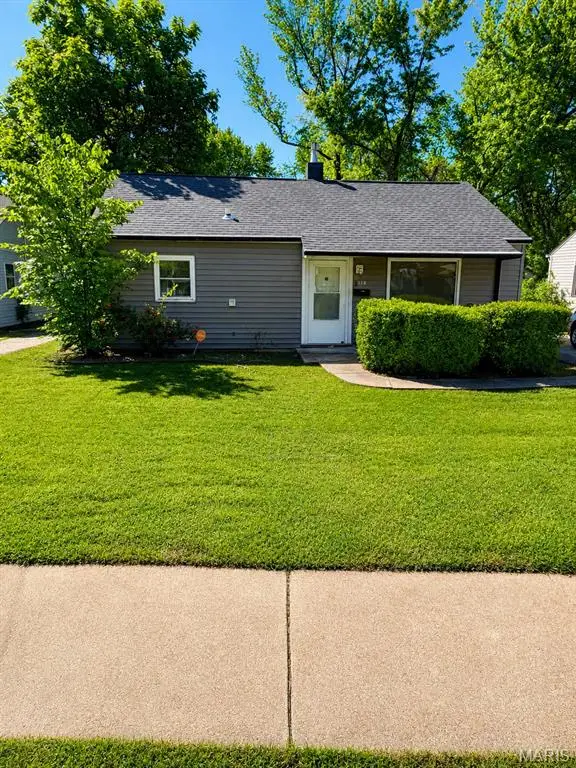 118 Paul Avenue, Ferguson, MO 63135 - #1