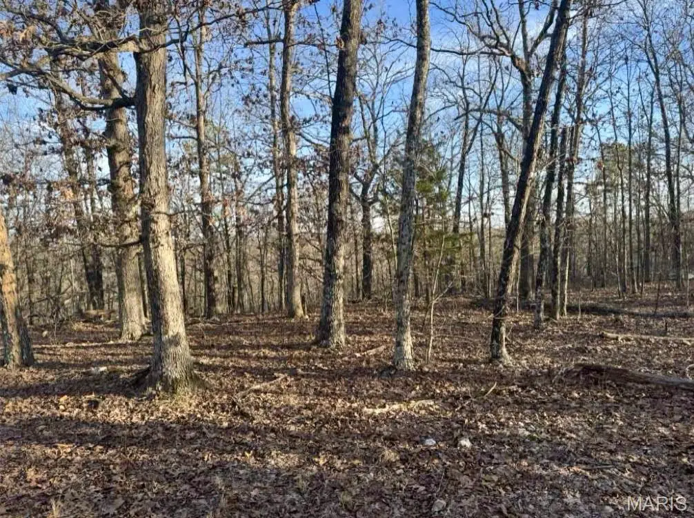 TBD Sargent Road, Sargent, MO 65793 - #1