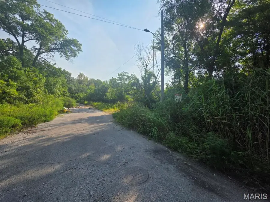 XX 74th Street, East Saint Louis, IL 62203 - #2