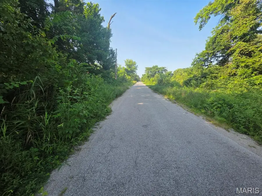 XX 74th Street, East Saint Louis, IL 62203 - #3