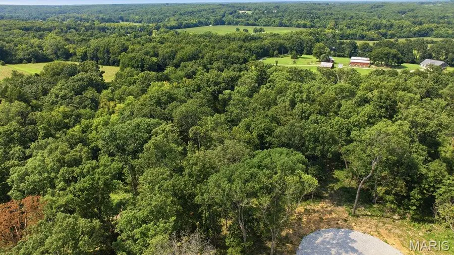 31319 Corri Road, Wright City, MO 63390 - #2