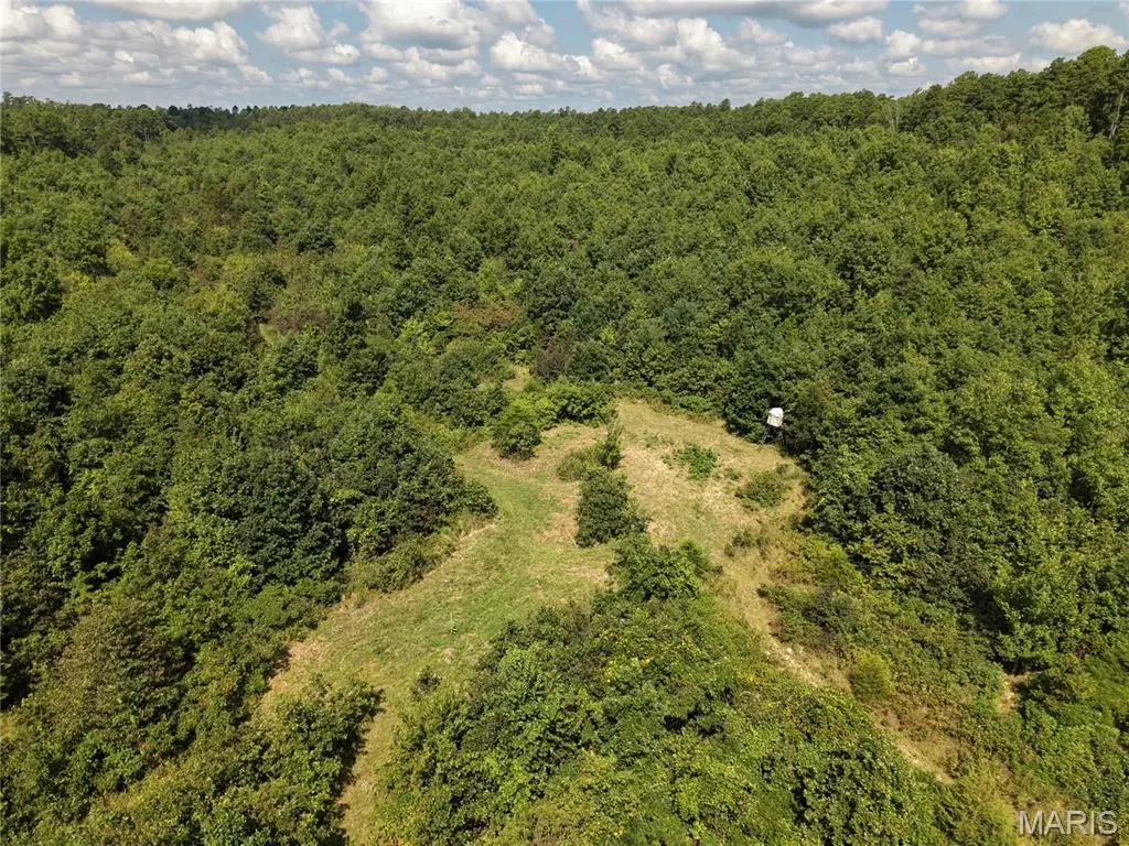 69042 Missouri 21, Ellington, MO 63638 - #1