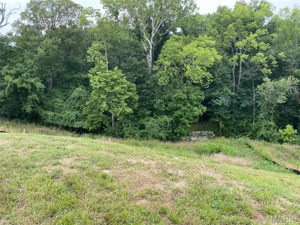 2041 Lily Avenue, Kirkwood, MO 63122