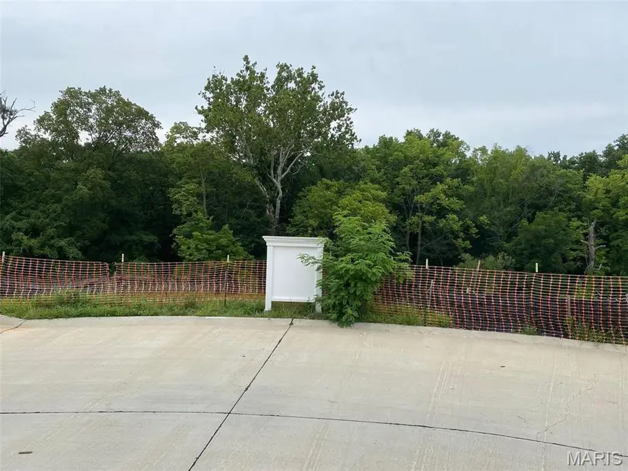 2041 Lily Avenue, Kirkwood, MO 63122 - #2