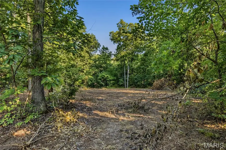 131 Mitchell Court, Troy, MO 63379 - #3