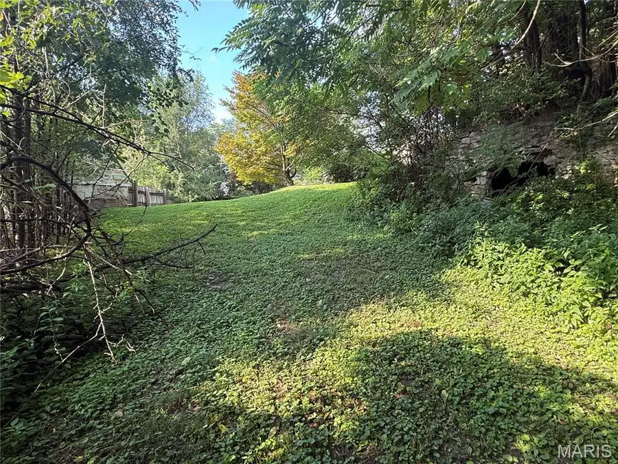401 Fulton Avenue, Hannibal, MO 63401 - #2