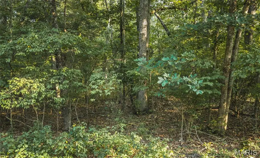 000 Glassey Road, Cuba, MO 65453 - #3