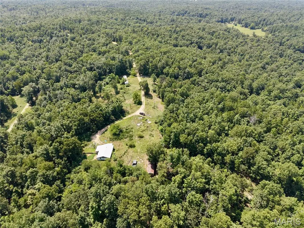 1333 County Road 565, Van Buren, MO 63965 - #1