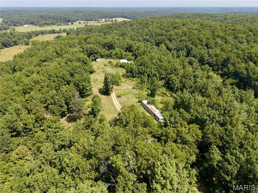 1333 County Road 565, Van Buren, MO 63965 - #2