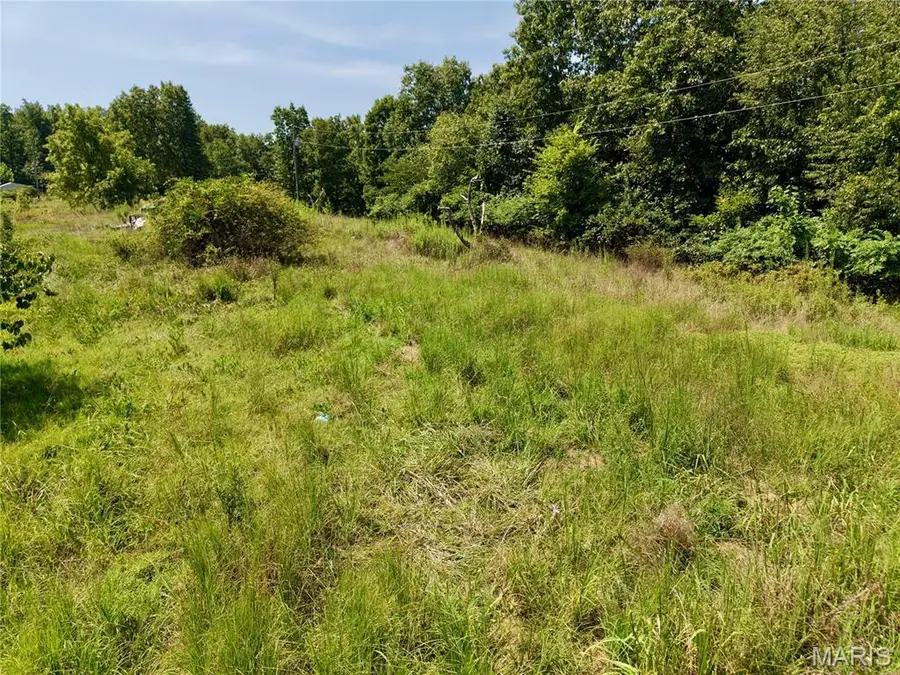 1333 County Road 565, Van Buren, MO 63965 - #3