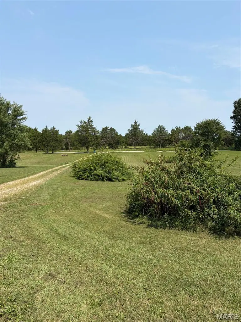 8560 Saffell Road, Bonne Terre, MO 63628 - #3