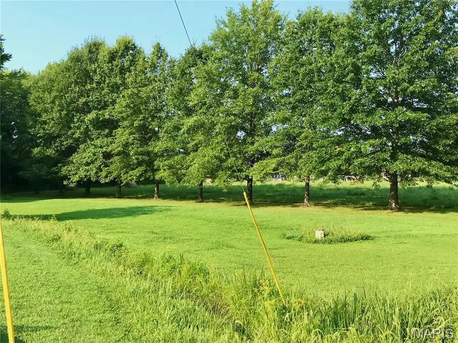 21670 County Road 3644, Saint James, MO 65559 - #2
