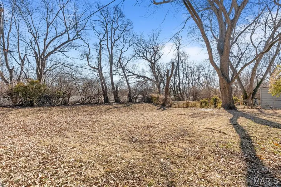 9750 Lorna Lane, Saint Louis, MO 63136 - #2