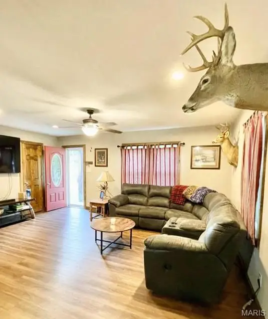 1007 E 1st Street, Salem, MO 65560 - #3