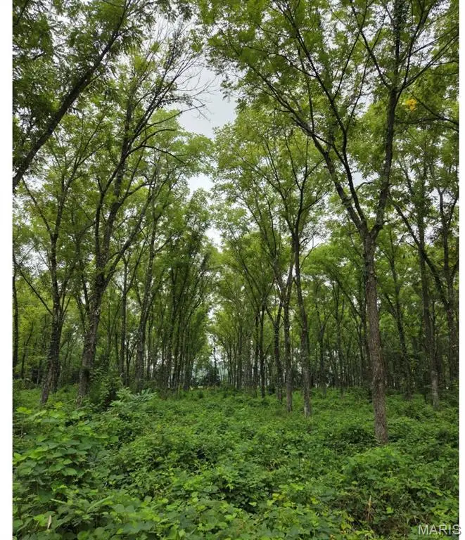 TBD Red Oak Rd, Waynesville, MO 65583 - #2