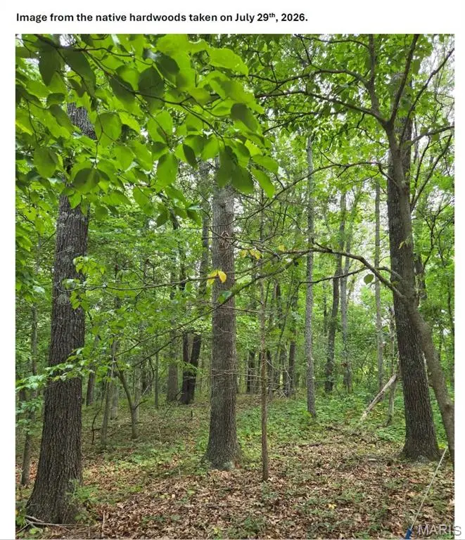 TBD Red Oak Rd, Waynesville, MO 65583 - #3