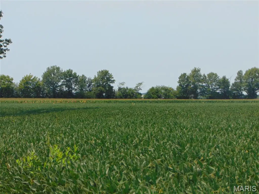 0000 State Route 14, Du Quoin No 10, IL 62832 - #1