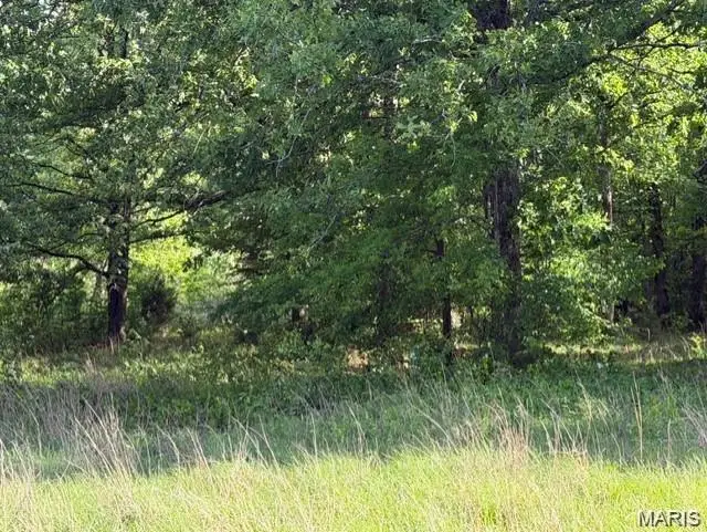 00 Rainbow, Poplar Bluff, MO 63901 - #1
