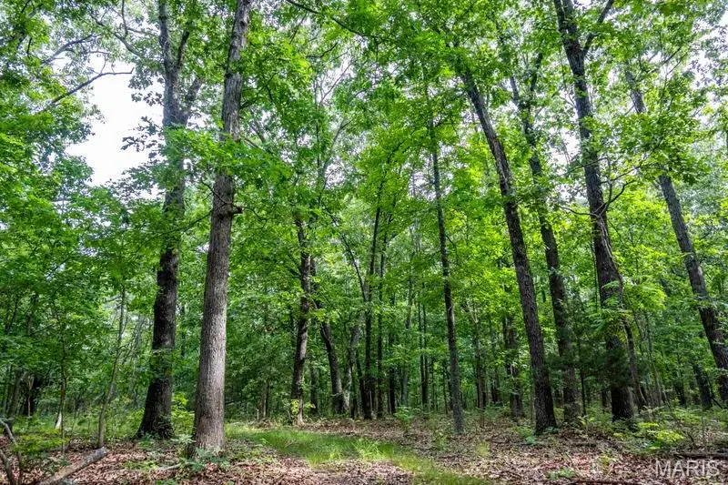 Tract 1 00 Summit Road, Hartville, MO 65667 - #3