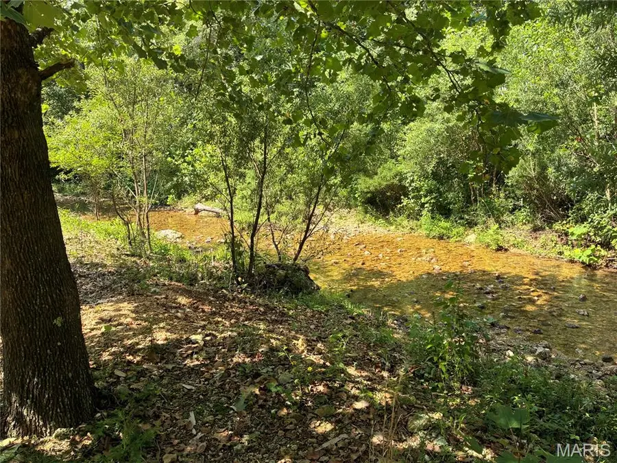 0 Highway A, Belleview, MO 63623 - #2