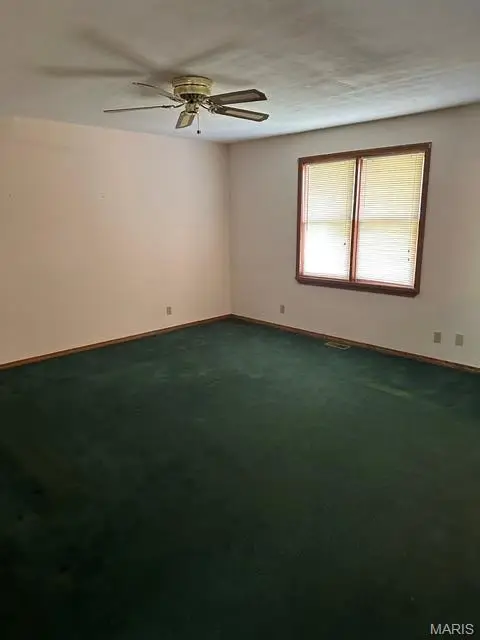 305 Sunny Acres Drive, Doniphan, MO 63935 - #3