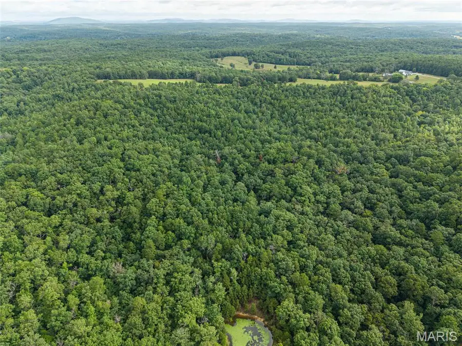 000 County Road 434, Piedmont, MO 63957 - #2