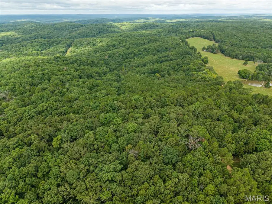 000 County Road 434, Piedmont, MO 63957 - #3