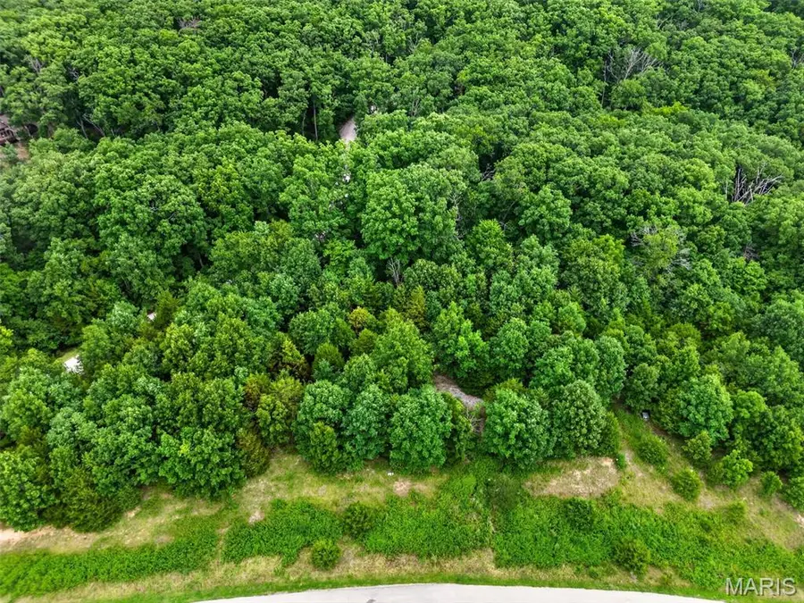 2482 Alpine Summit Drive, Innsbrook, MO 63390 - #2