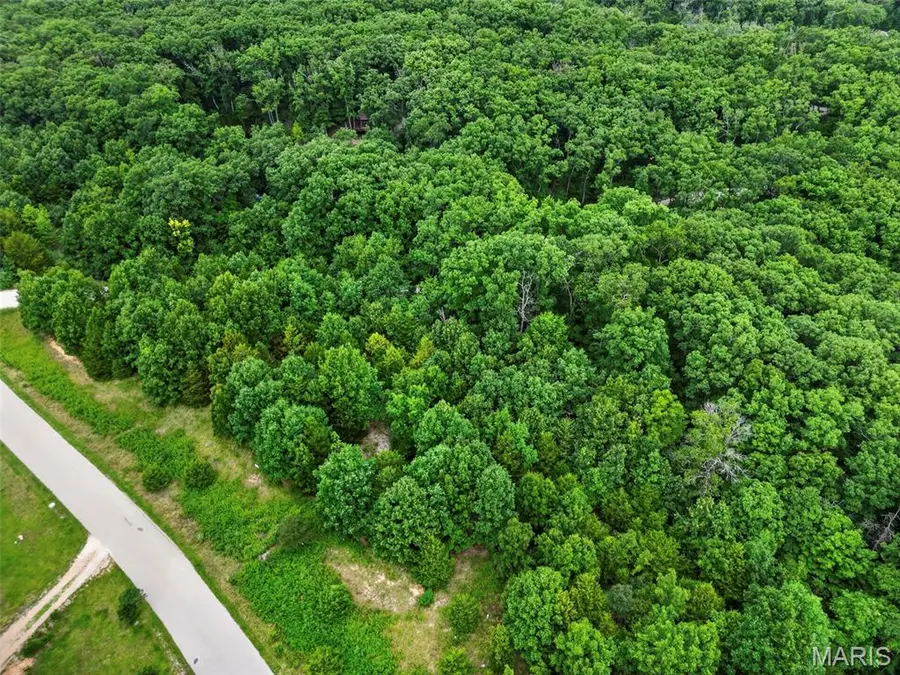 2482 Alpine Summit Drive, Innsbrook, MO 63390 - #3