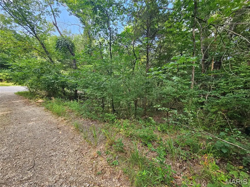 9468 Bent Tree Drive, Hillsboro, MO 63050 - #1