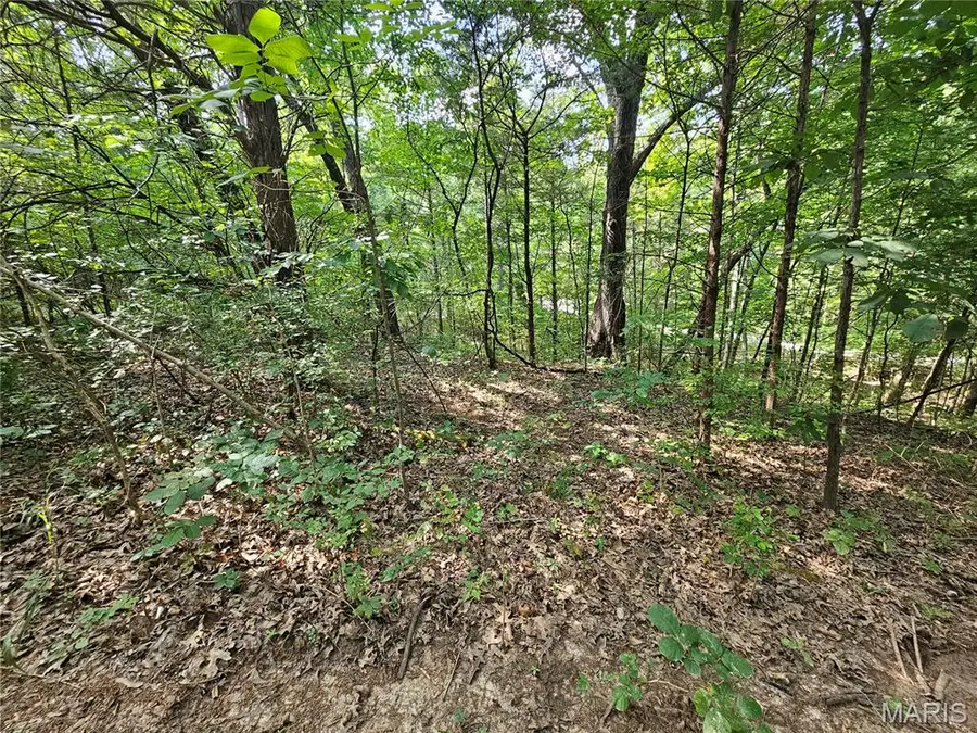 9468 Bent Tree Drive, Hillsboro, MO 63050 - #2