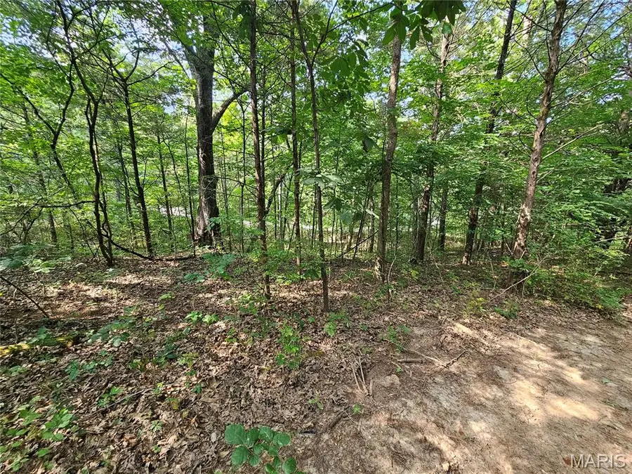 9468 Bent Tree Drive, Hillsboro, MO 63050 - #3