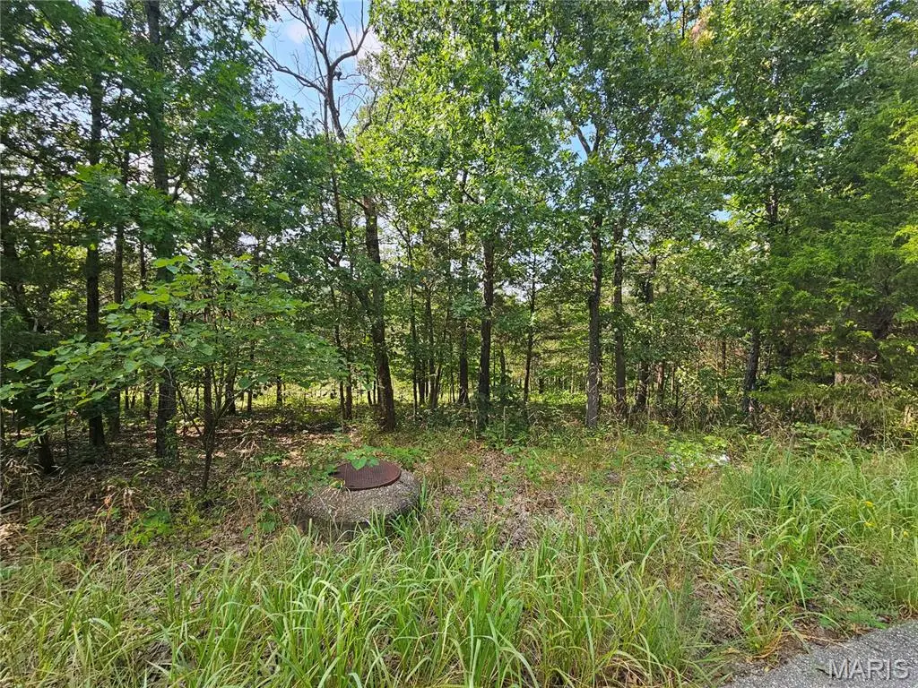 10515 Eagles Nest Drive, Hillsboro, MO 63050 - #1