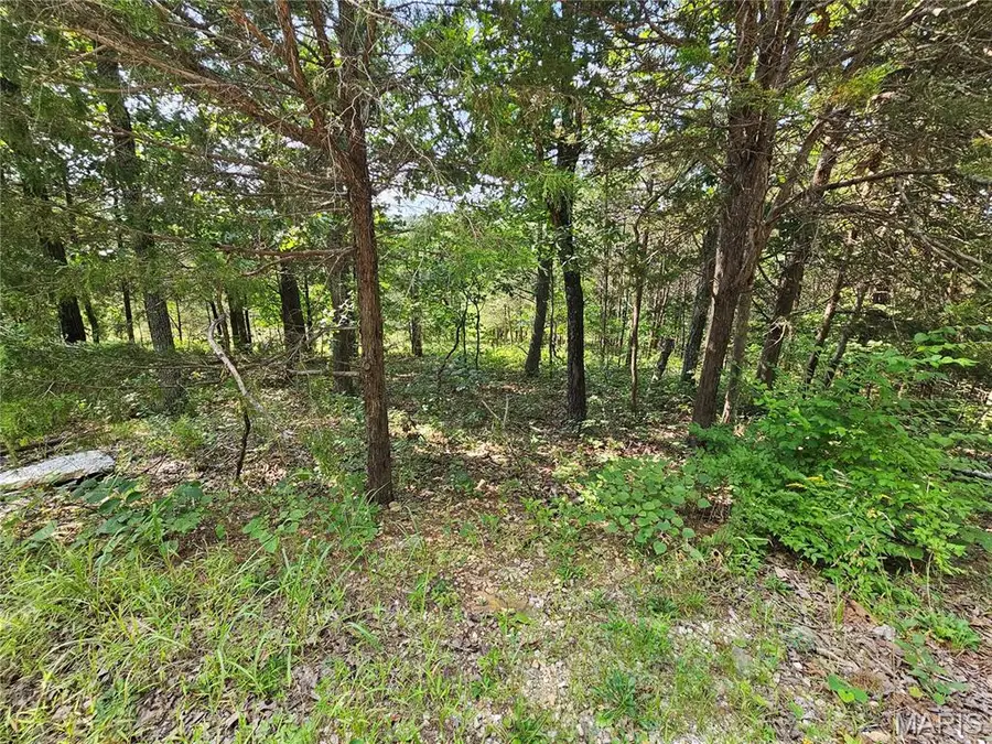 10515 Eagles Nest Drive, Hillsboro, MO 63050 - #2