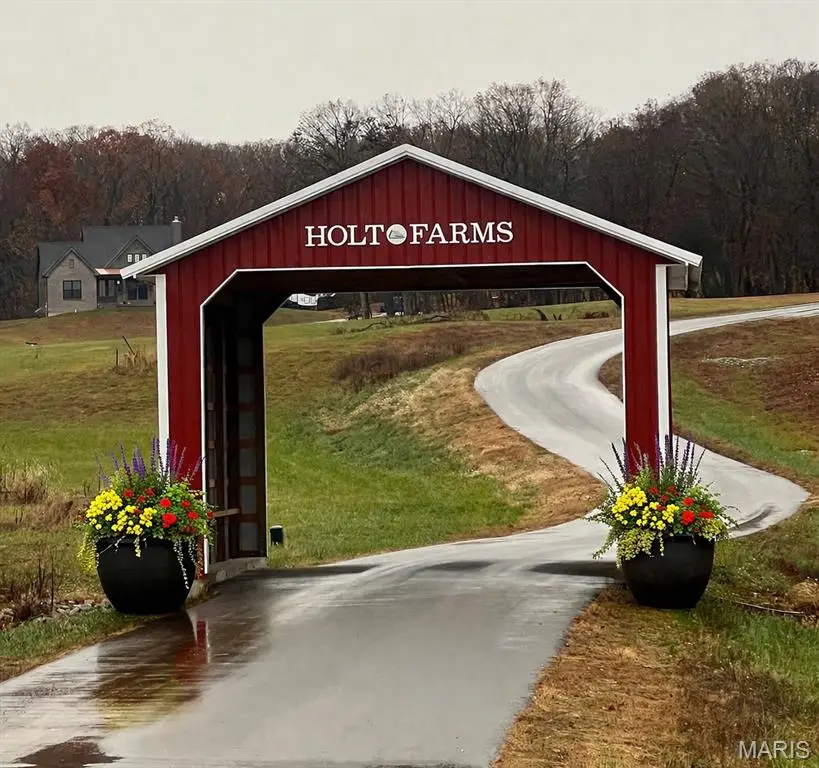 Lot 29 Holt Farm Drive, Wentzville, MO 63385 - #2