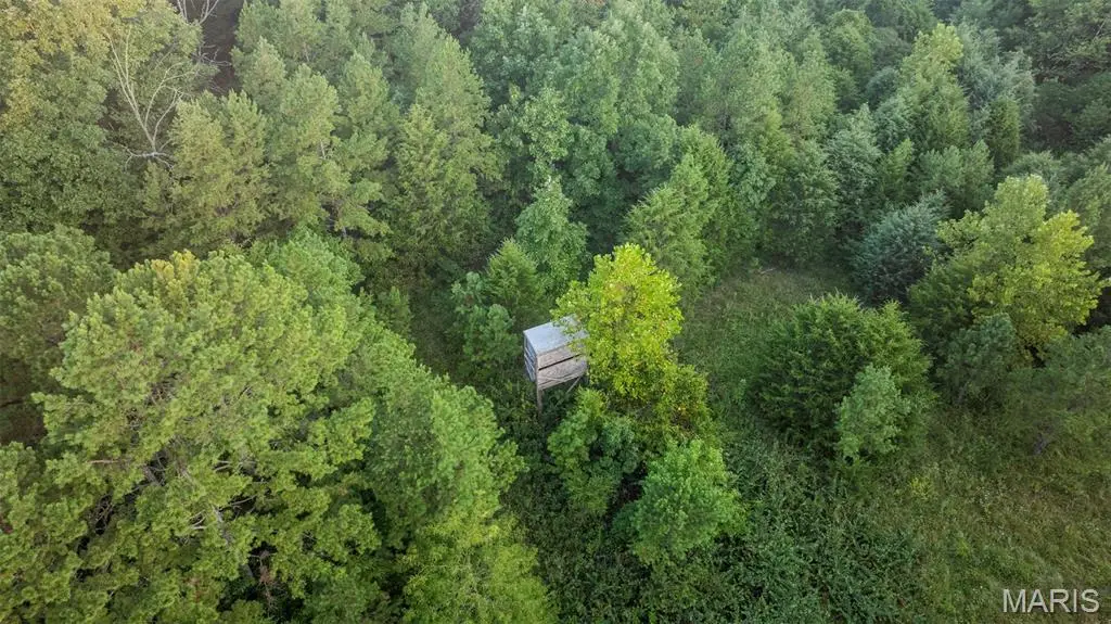 11620 Slaughter Road, Licking, MO 65542 - #1