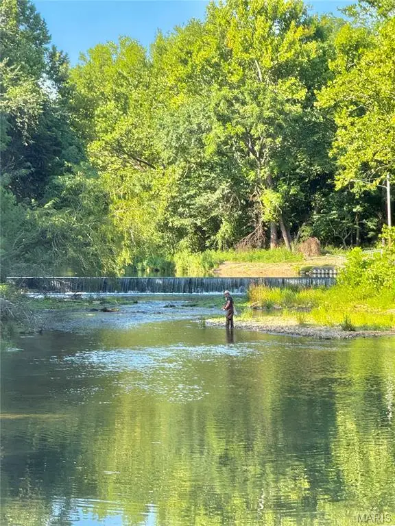 TBD County Road 6670, Salem, MO 65560 - #3