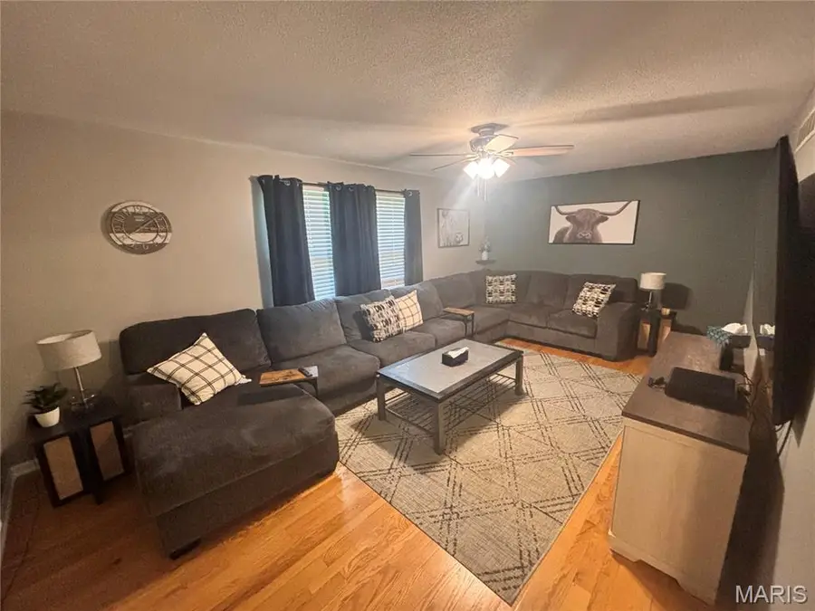 185 Lake Apollo Drive, Hannibal, MO 63401 - #2